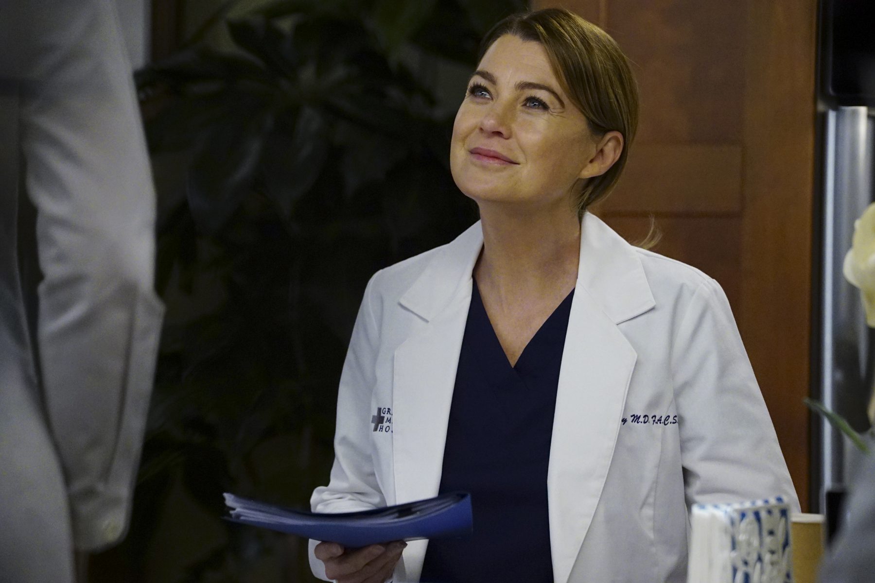 Nieuw seizoen 'Greys Anatomy' en 'New Amsterdam' vanavond op tv