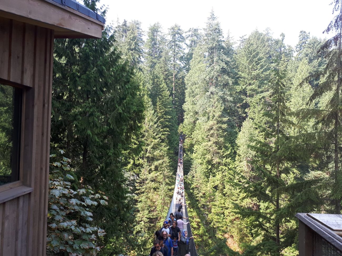 Capilano suspension bridge