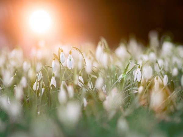 Goed nieuws: nóg veel meer zon de komende week