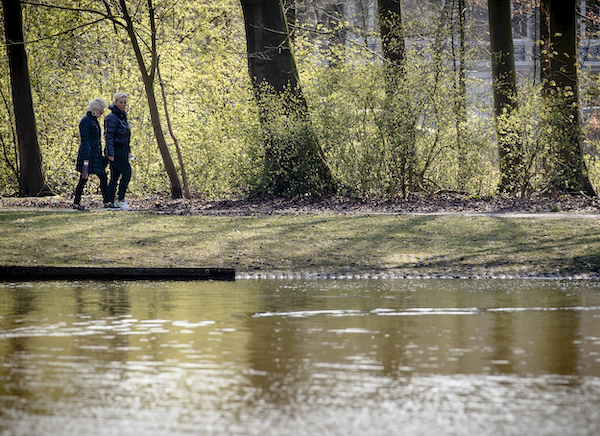 Rustig in het bos