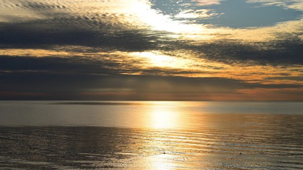 Lichaam gevonden in IJsselmeer, vermoedelijk van vermiste man