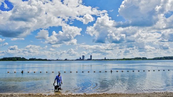 Man verdronken in Zevenhuizerplas Rotterdam