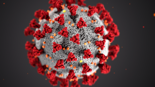 coronavirus