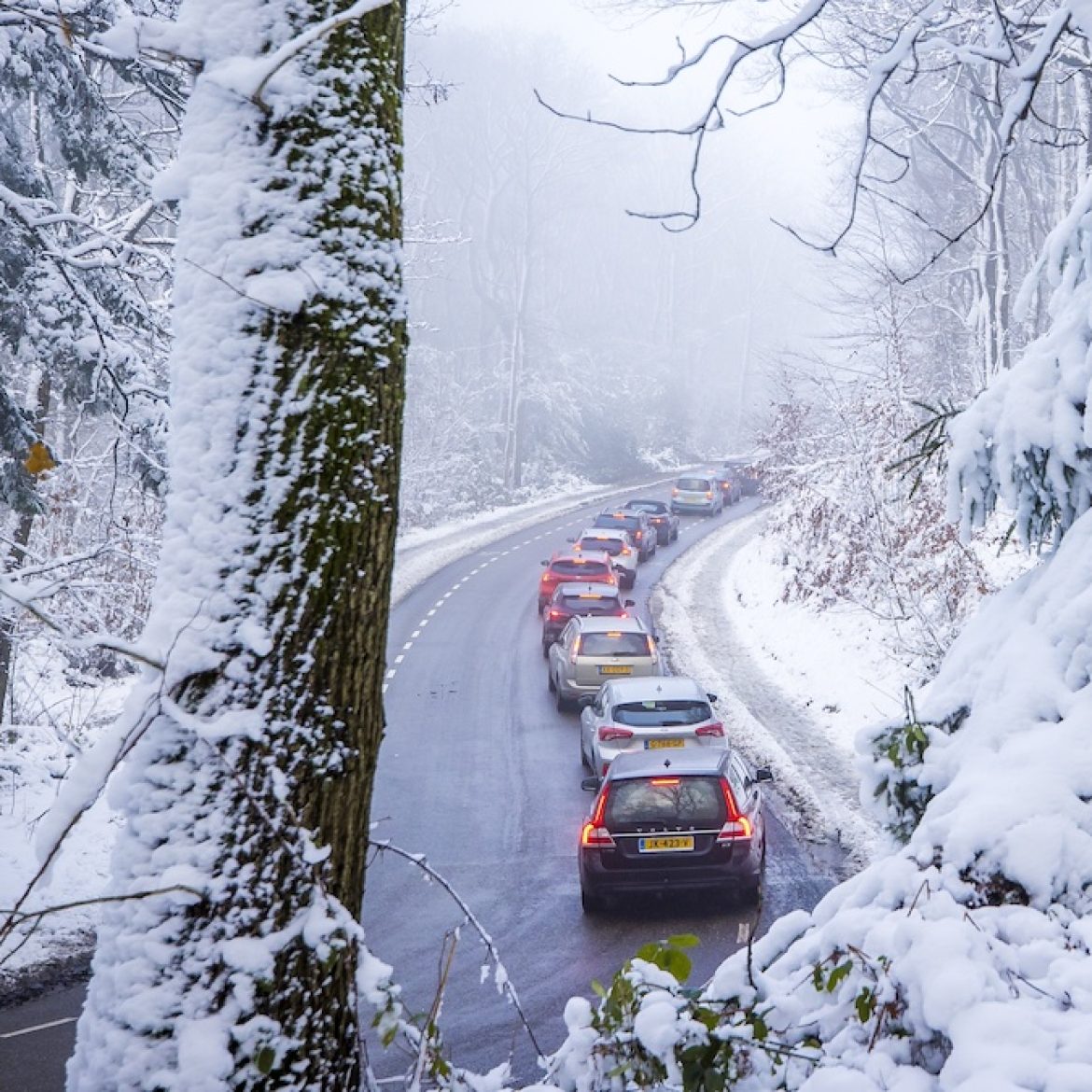 auto's in de winter