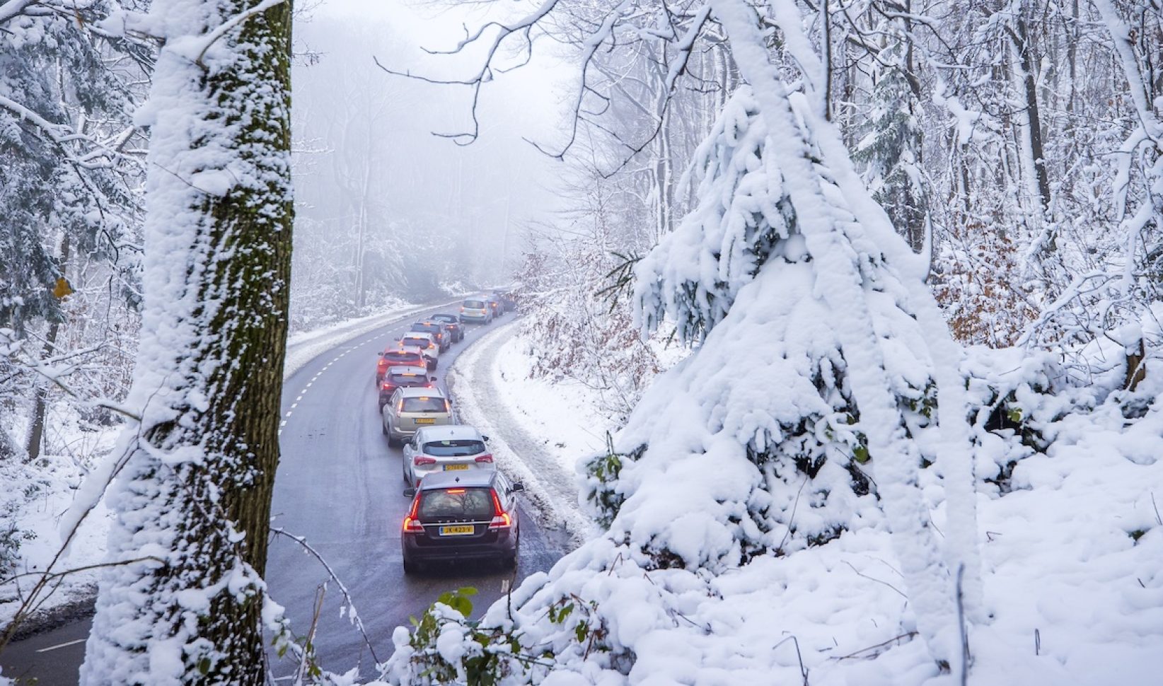 auto's in de winter