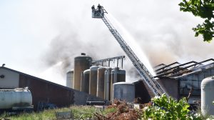 Thumbnail voor Zo'n 4600 varkens omgekomen door brand in stal Nederweert