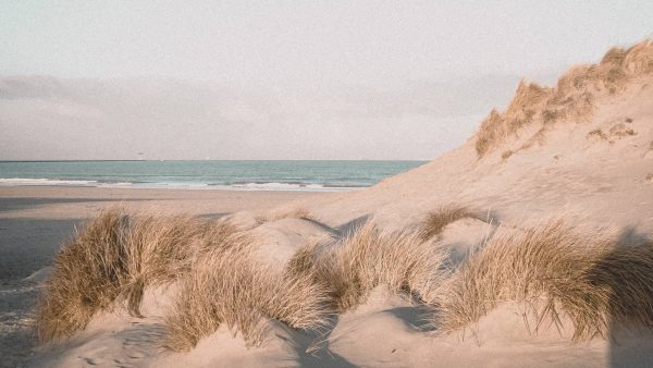 44.000 omgekomen vluchtelingen herdacht op strand Scheveningen