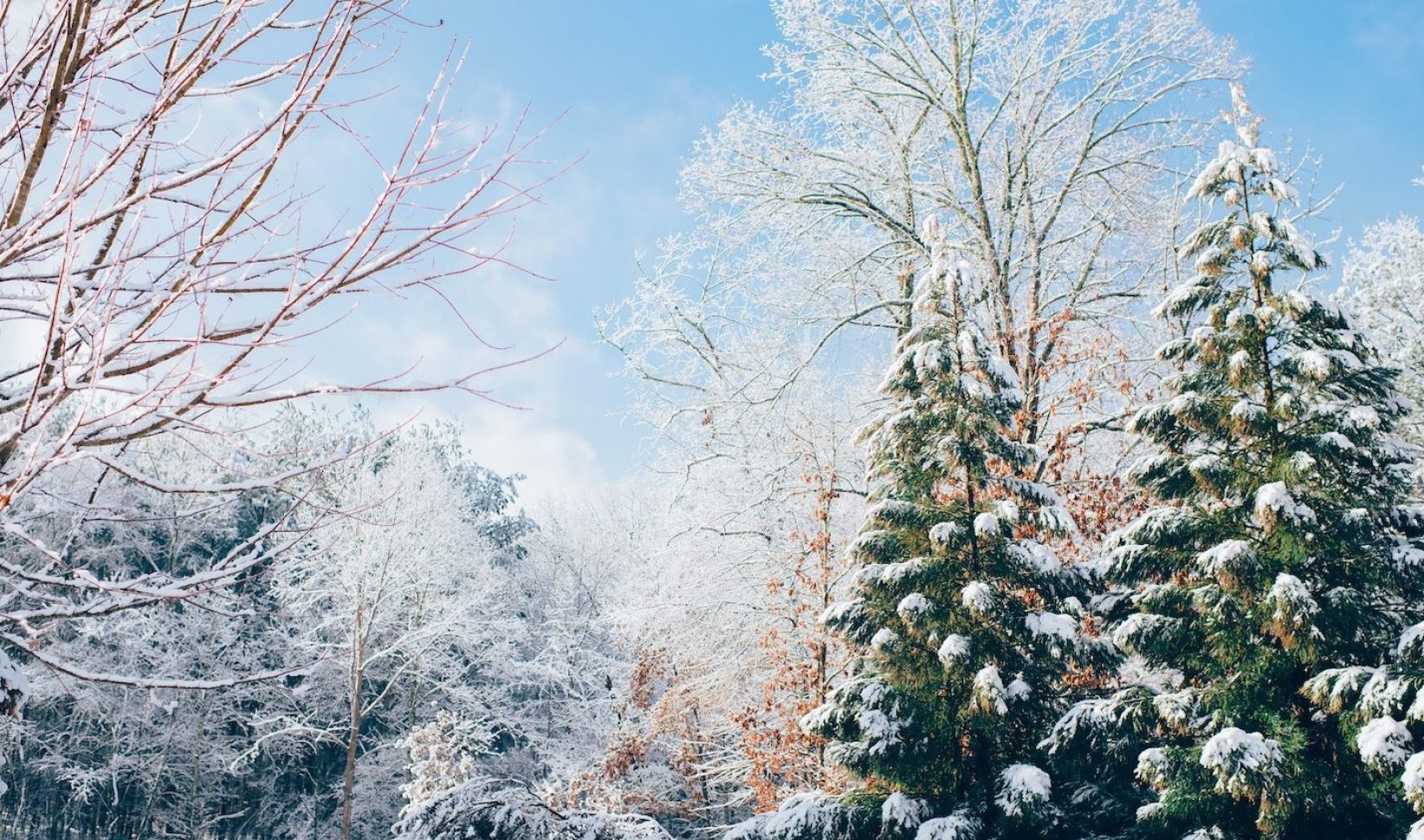 Eerste sneeuw in het oosten