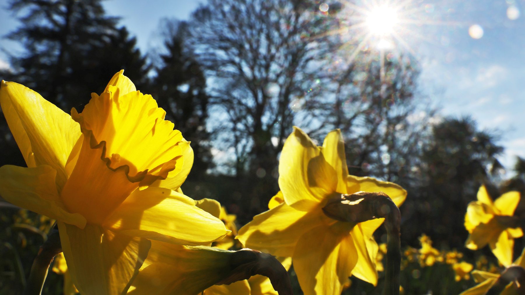 stralend weer zon droog