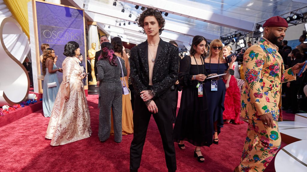 timothee oscars looks