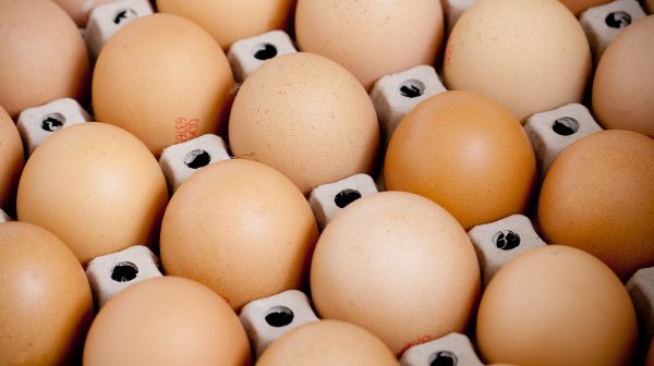 Goed opgeleid grond geest Eggcuse me: prijs voor doosje eieren steeg zelden zo hard - LINDA.nl
