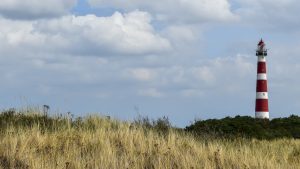 Thumbnail voor Schrikbarende vondst op Ameland: wandelaar vindt 'aangespoelde mensenhand'