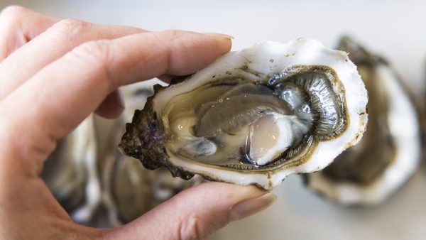 oester-met-parel-gevonden-chef-nederland