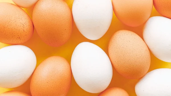 verschil tussen bruine witte eieren (en je verwacht 't niet) - LINDA.nl