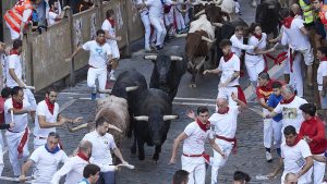 Thumbnail voor Nederlander (58) gewond tijdens stierenrennen Pamplona: 'Voelde hoe hoorn door m'n been ging'