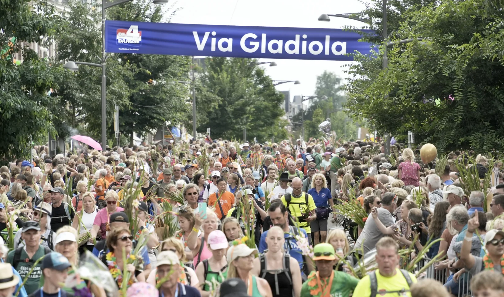 nijmeegse vierdaagse