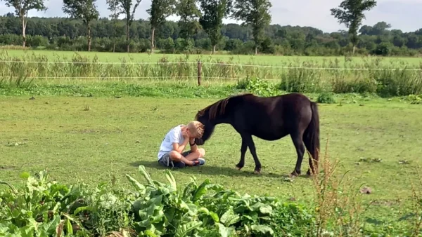 Afbeelding van jongetje bij pony