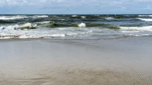 Thumbnail voor Opnieuw lugubere vondst op strand Texel: 'Ik schopte er tegenaan'