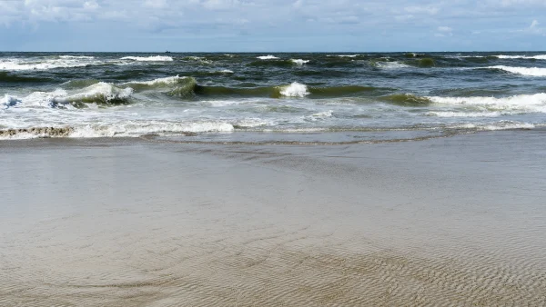 De zee en het strand