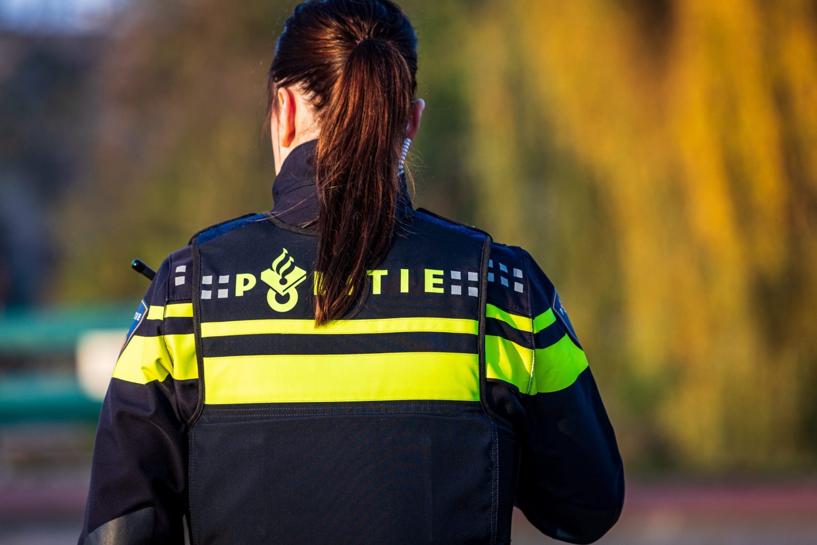 Thumbnail voor Vrouw op klaarlichte dag verkracht in park in Hoorn, politie vraagt om hulp