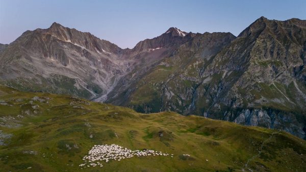 zwitserse alpen