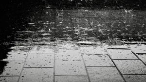 Thumbnail voor Overlast door regen in West-Brabant, water stroomt naar binnen