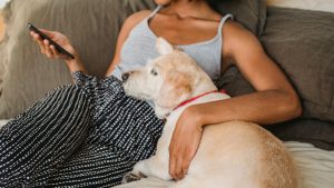 Thumbnail voor Wilma geeft haar hond weg, maar krijgt weken later Tikkie voor dierenartskosten: 'Vond ze niet meer dan normaal'