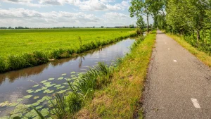 Thumbnail voor Meerdere jonge kinderen zomaar in sloot geduwd: 'Dit is niet grappig meer, straks gebeurt er iets ernstigs'