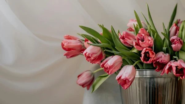 B&B vaas met tulpen