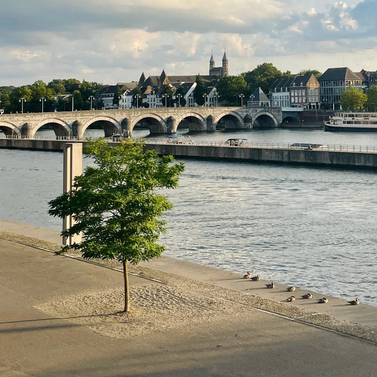 Maastricht, de stad met een dijk van een reputatie: kneuterig en knus, maar toch met internationale allure