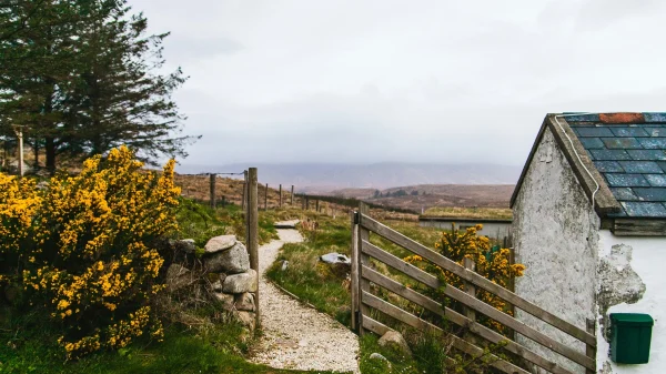 In Ierland redde jongen moeder