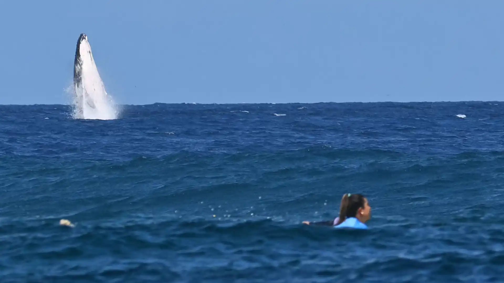 De walvis tijdens de halve finale surfen op de Olympische Spelen