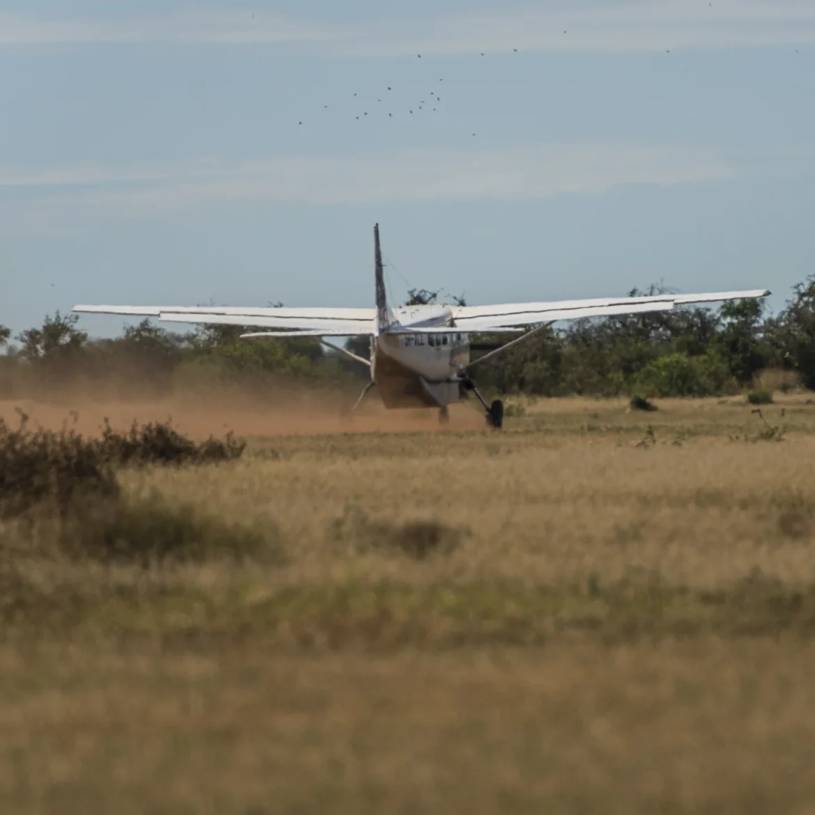 crash Malawi Nederlandse vrouw