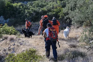 Thumbnail voor Zoektocht naar Nederlandse vrouw op Samos gepauzeerd vanwege hitte