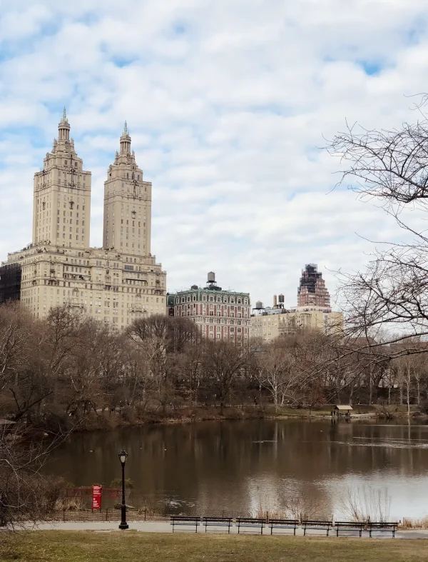 central park - new york budget tips