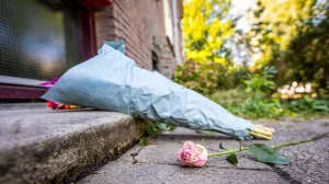 Thumbnail voor Vrouw doodgeschoten in Rijswijk, zoontje ziet het gebeuren