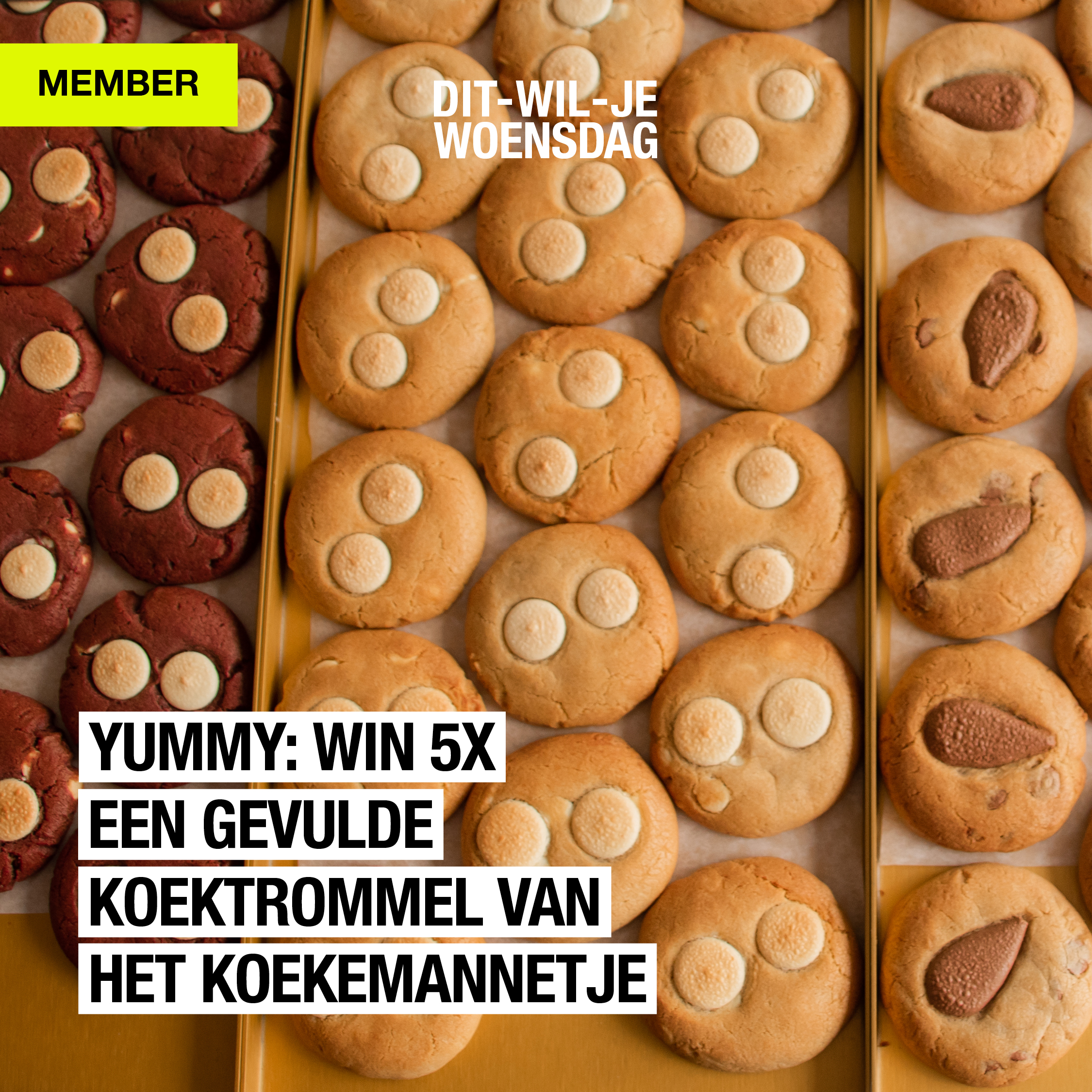 Is dat even lekker: win een goed gevulde koektrommel van Het Koekemannetje