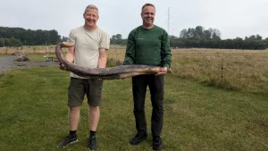 Thumbnail voor Natuurgids vindt penis van meer dan 1,5 meter lang: 'Verkeert in verrassend goede staat'