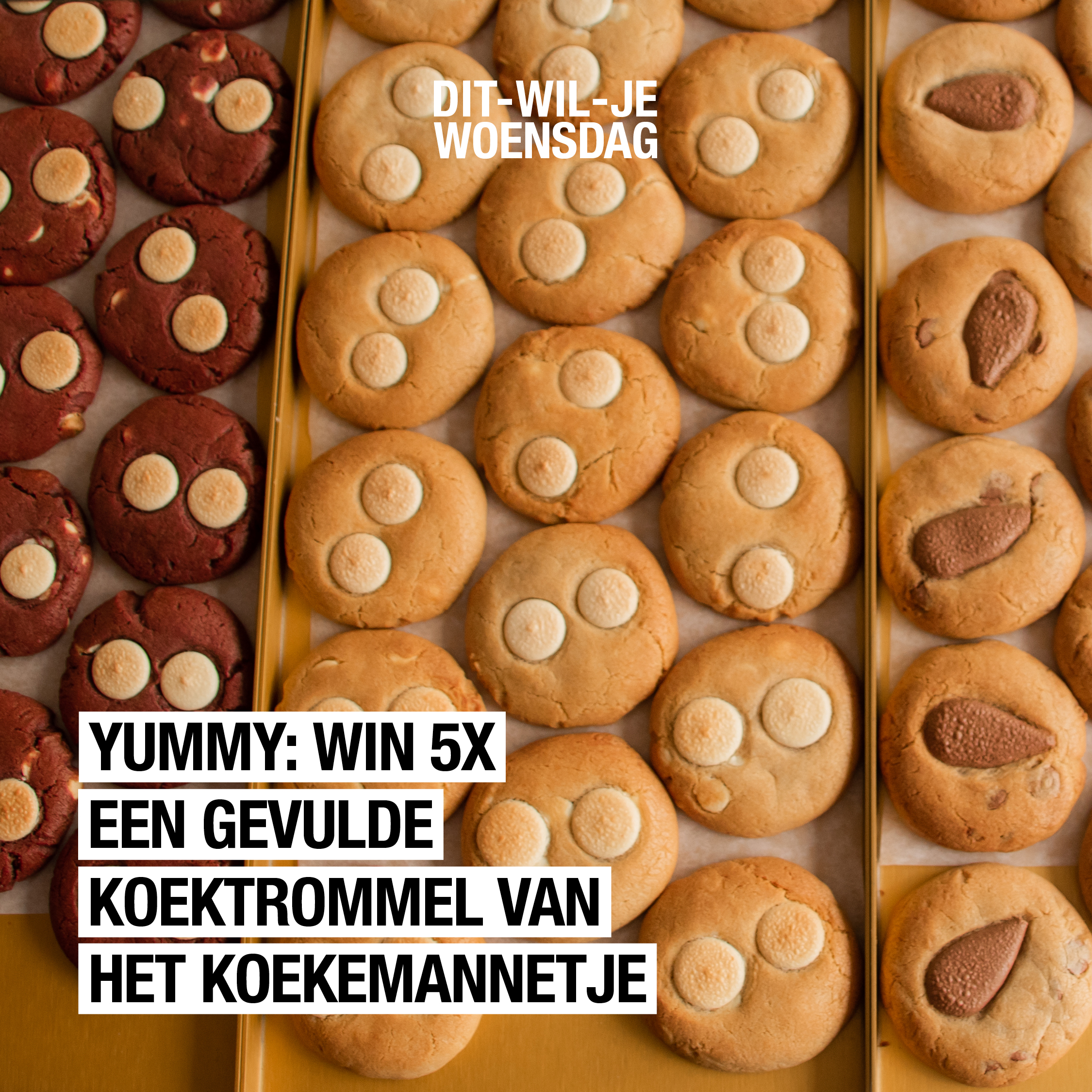 Is dat even lekker: win een goed gevulde koektrommel van Het Koekemannetje