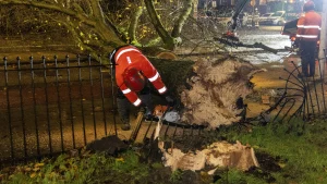 Thumbnail voor Storm Conall zorgt voor schade in Nederland, vrouw (19) omgekomen in Lochem