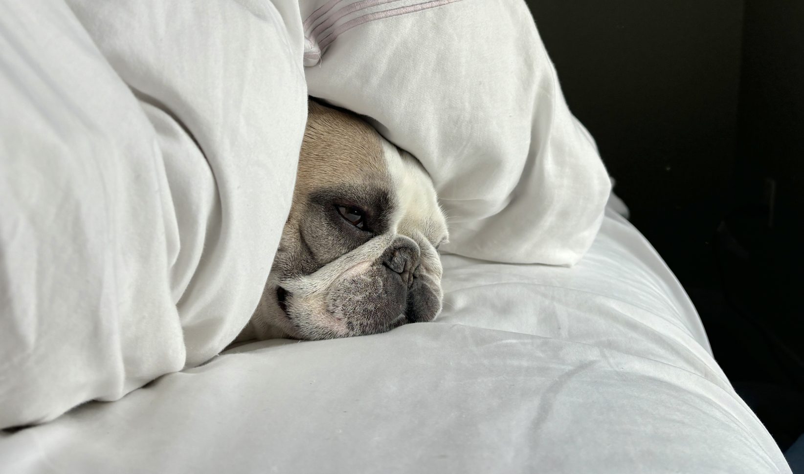 Hé schone slaper, wist je dat jouw beauty sleep echt werkt? De wetenschap bewijst het