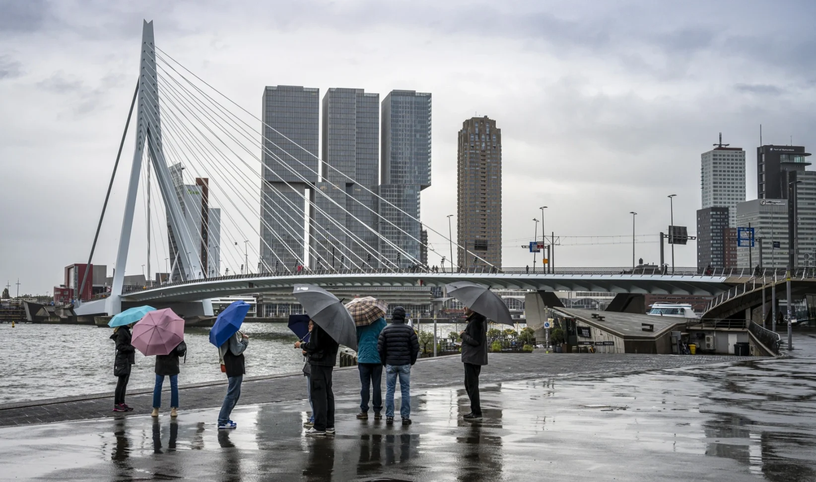 Grijze week in het vooruitzicht: veel bewolking en regen voorspeld