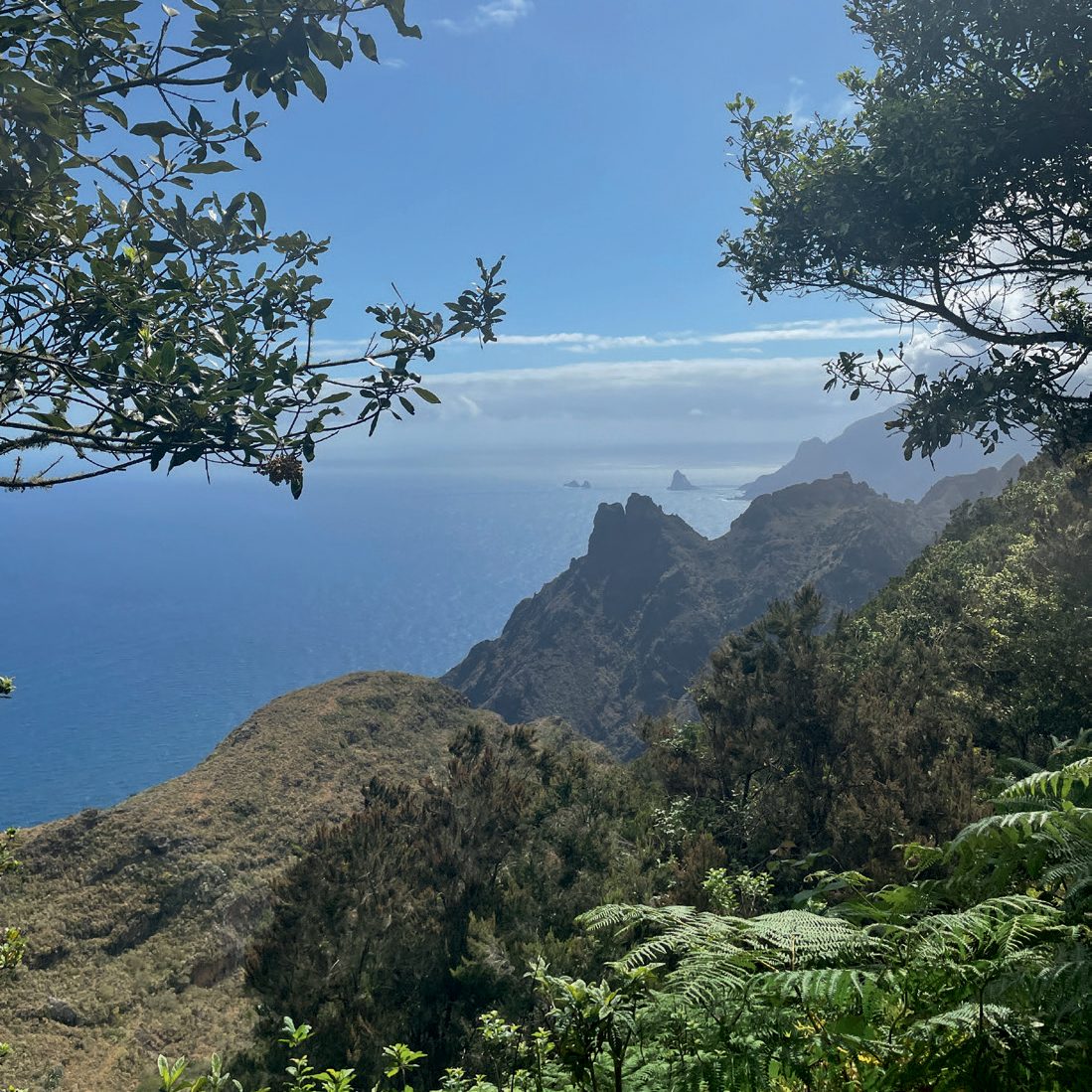 Het woeste noorden van Tenerife: 'Bergdorpen waar geen souvenirwinkel te vinden is, wel pleinen vol vijgen- en amandelbomen'