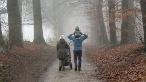 Thumbnail voor Slechts 27 uur zon in totaal in december, vrijdag code geel vanwege mist