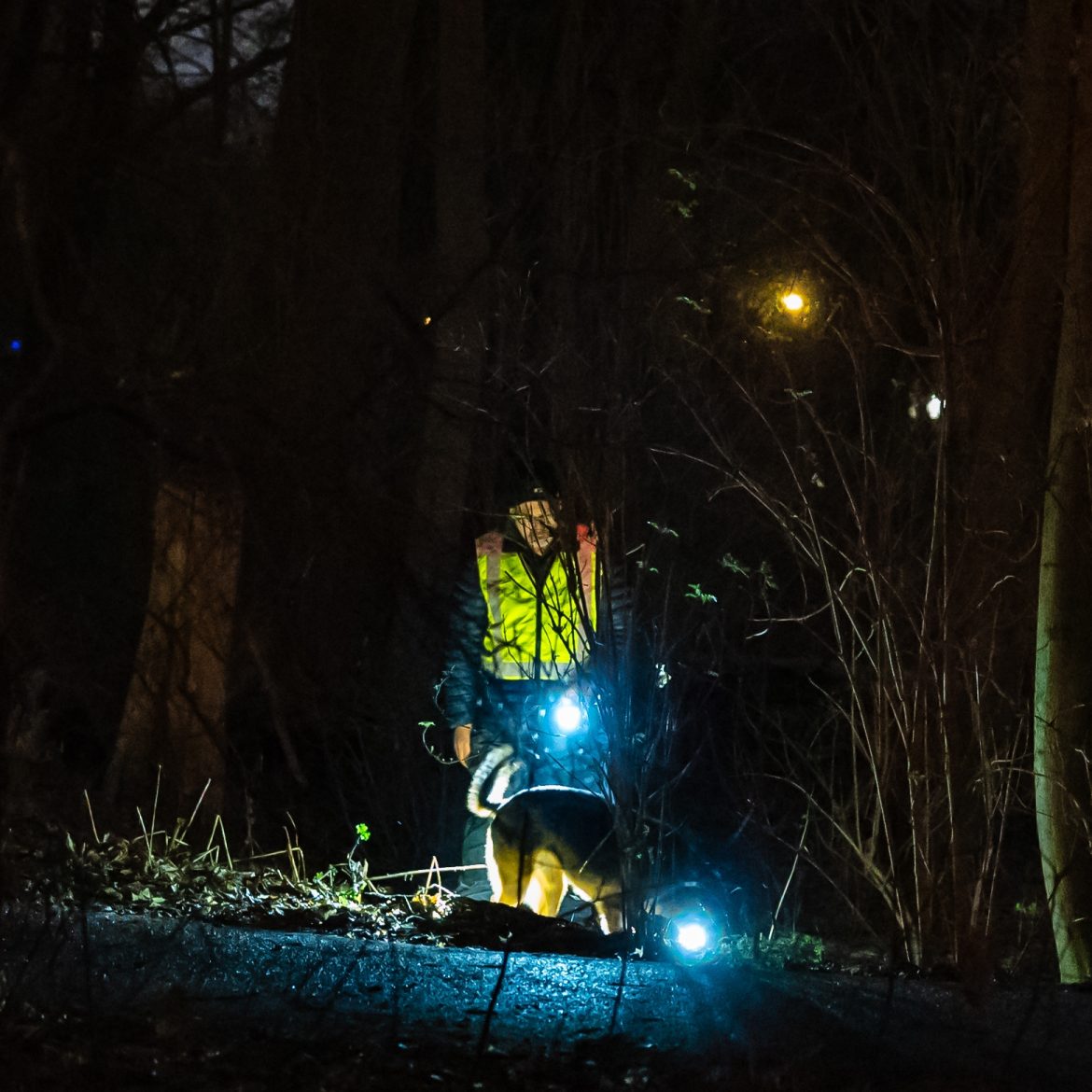 vermist marjolein gevonden rotterdam