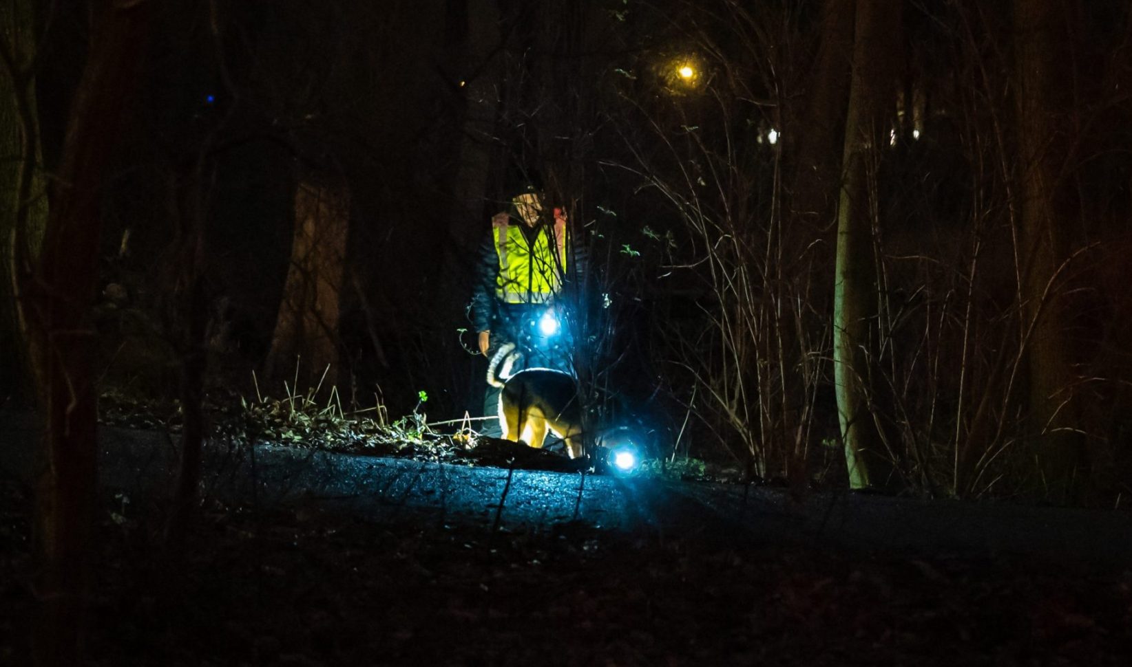 vermist marjolein gevonden rotterdam