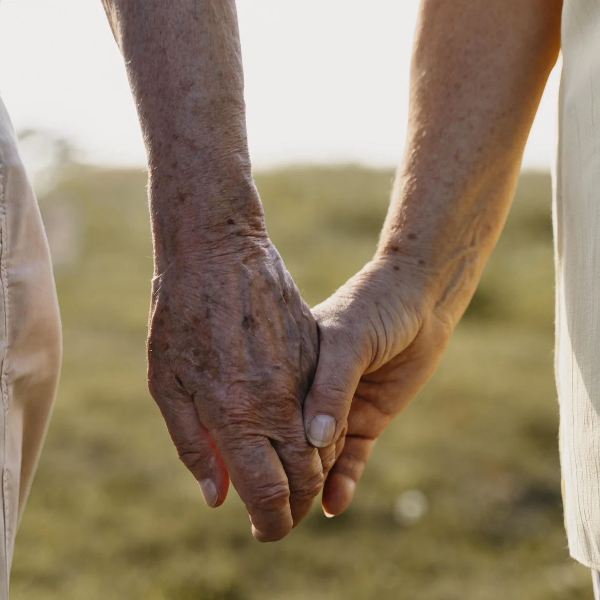 twee oude handen die elkaar vasthouden - duo-euthanasie