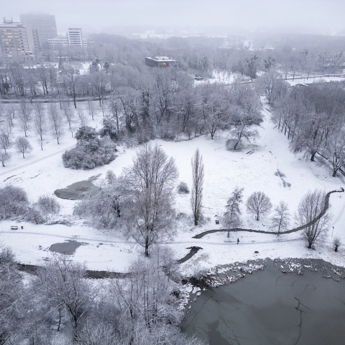 sneeuw in nederland code geel