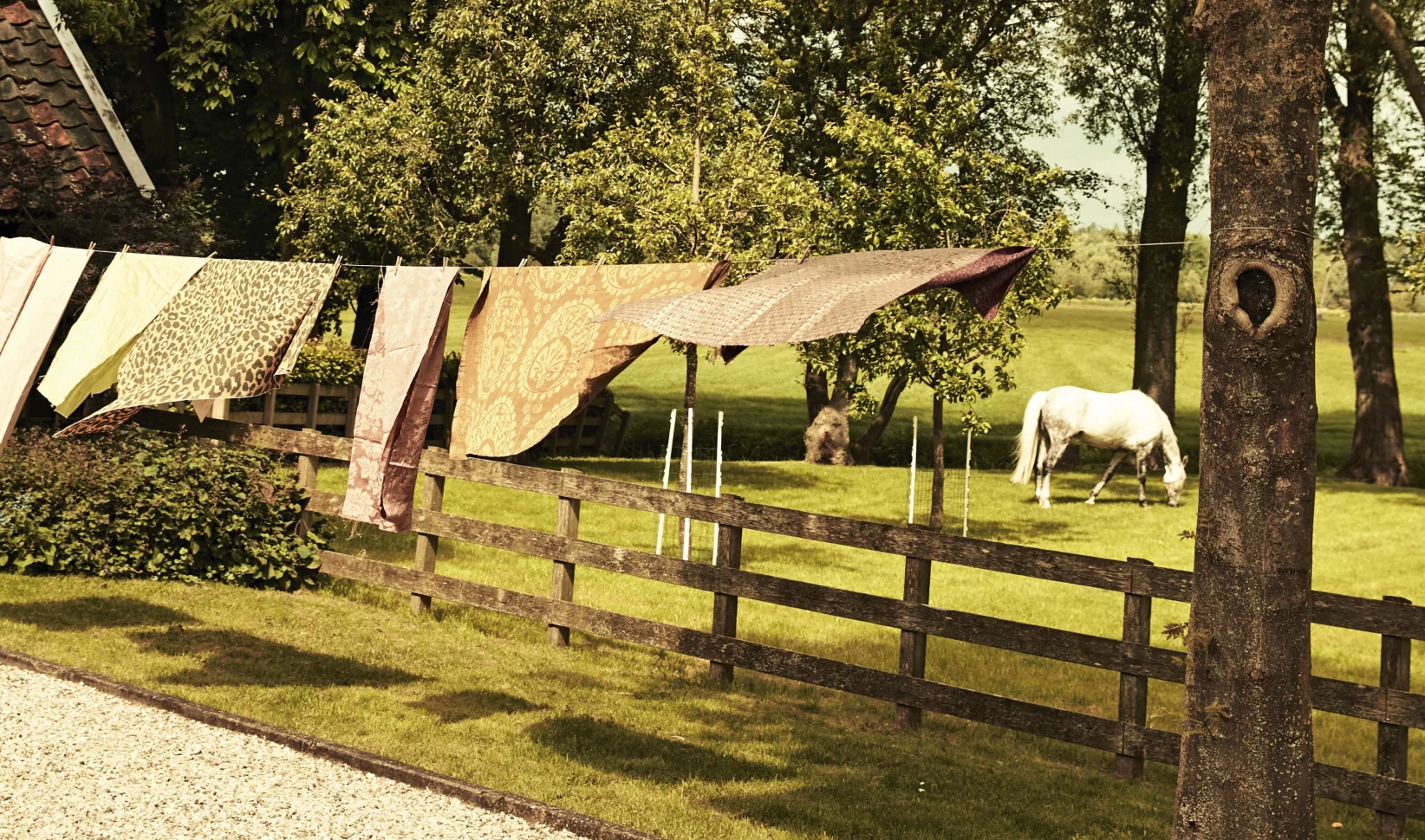 Dag winter, hallo vleugje lente: temperatuur naar de dubbele cijfers