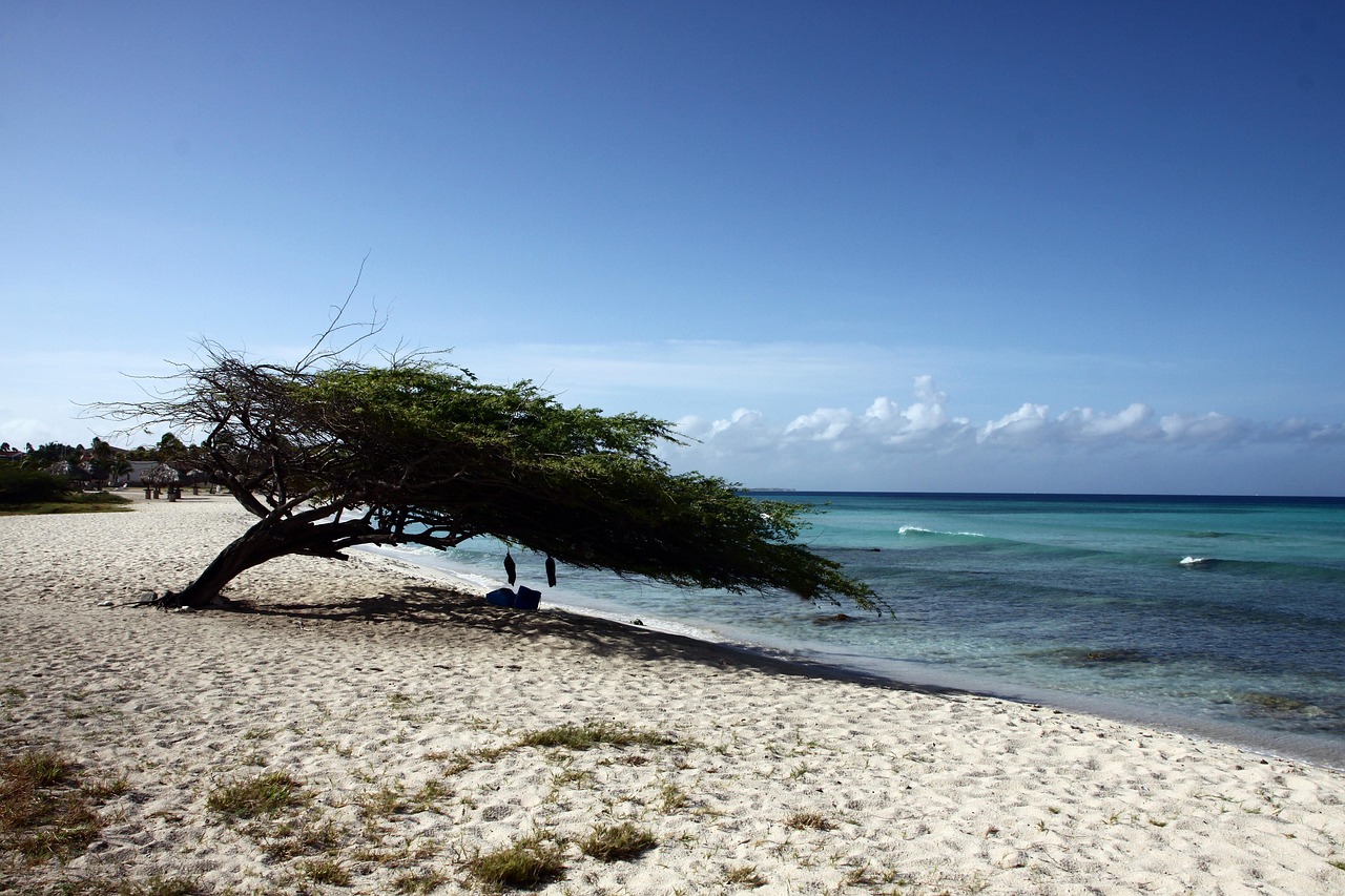 Eagle Beach aruba